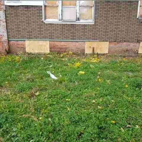 Testing again(13).jpg